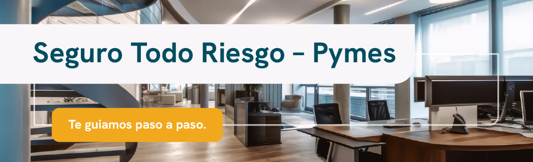 Seguro todo riesgo